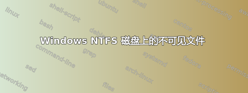 Windows NTFS 磁盘上的不可见文件