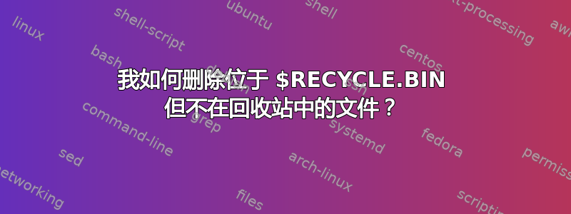 我如何删除位于 $RECYCLE.BIN 但不在回收站中的文件？