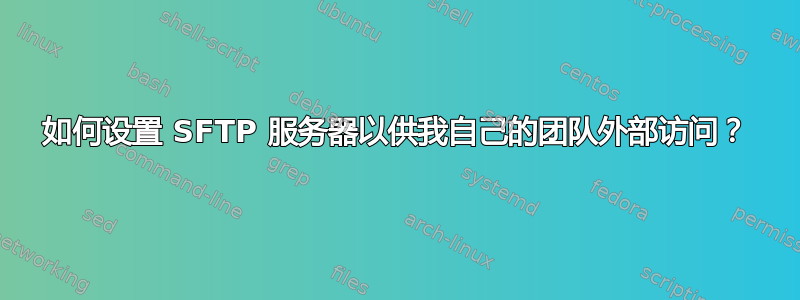 如何设置 SFTP 服务器以供我自己的团队外部访问？