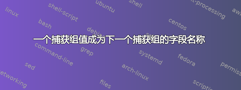 一个捕获组值成为下一个捕获组的字段名称