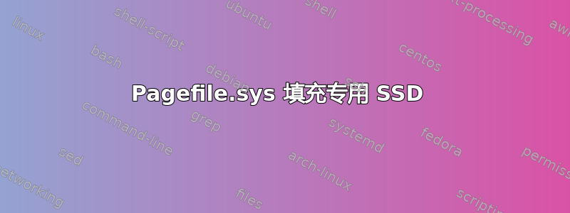 Pagefile.sys 填充专用 SSD 