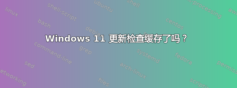 Windows 11 更新检查缓存了吗？