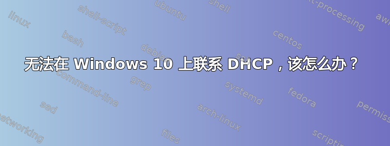 无法在 Windows 10 上联系 DHCP，该怎么办？