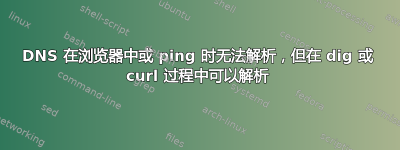 DNS 在浏览器中或 ping 时无法解析，但在 dig 或 curl 过程中可以解析