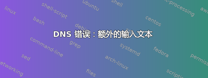 DNS 错误：额外的输入文本