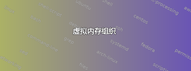 虚拟内存组织