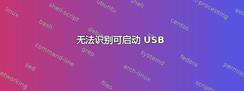 无法识别可启动 USB