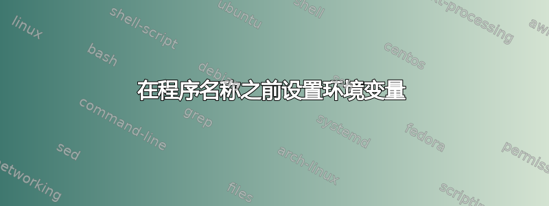 在程序名称之前设置环境变量