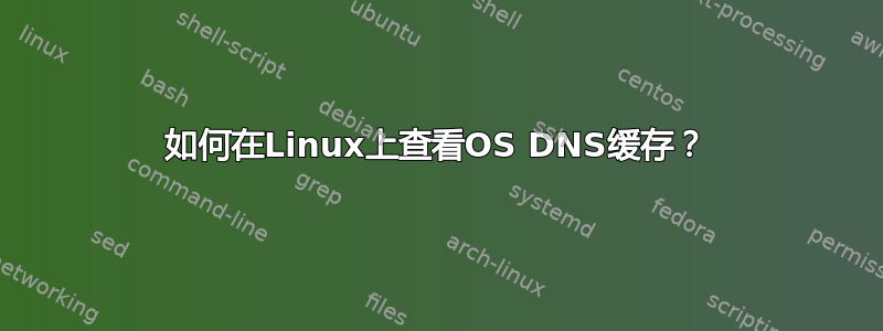 如何在Linux上查看OS DNS缓存？