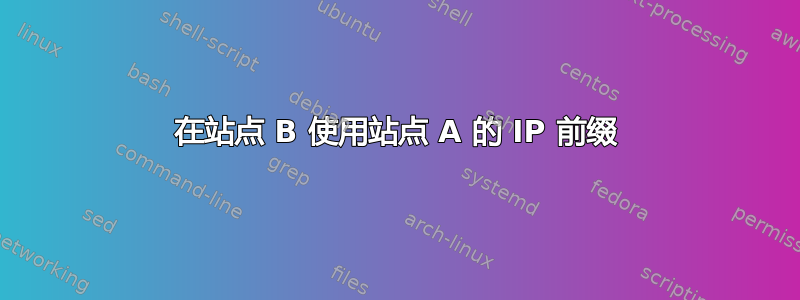 在站点 B 使用站点 A 的 IP 前缀