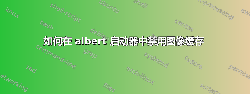 如何在 albert 启动器中禁用图像缓存