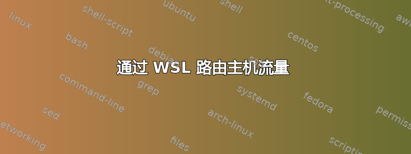 通过 WSL 路由主机流量