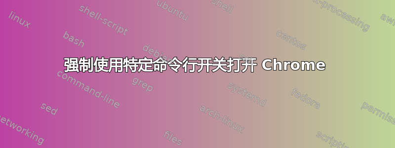 强制使用特定命令行开关打开 Chrome