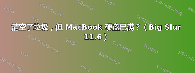 清空了垃圾，但 MacBook 硬盘已满？（Big Slur 11.6）