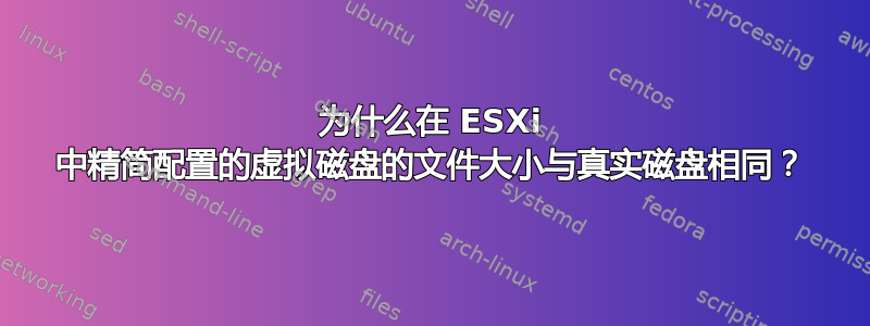 为什么在 ESXi 中精简配置的虚拟磁盘的文件大小与真实磁盘相同？