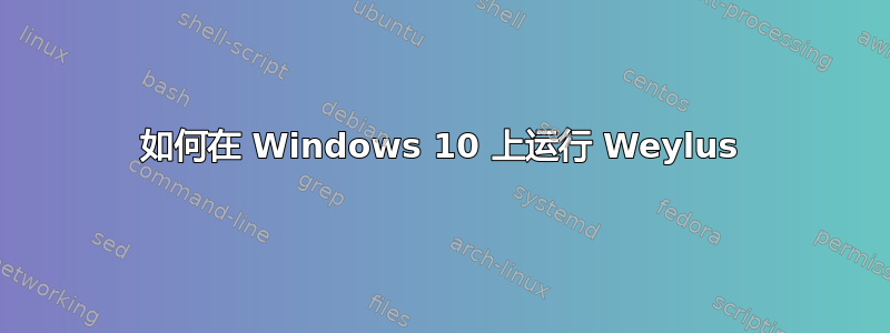 如何在 Windows 10 上运行 Weylus