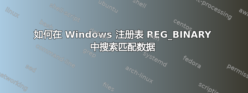 如何在 Windows 注册表 REG_BINARY 中搜索匹配数据