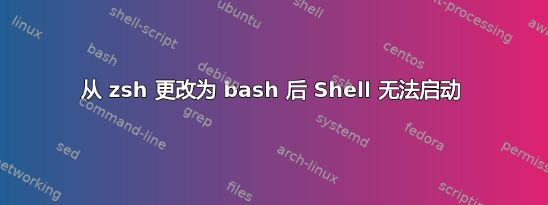 从 zsh 更改为 bash 后 Shell 无法启动