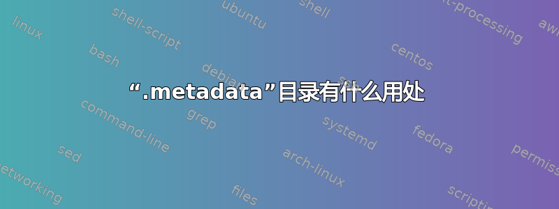 “.metadata”目录有什么用处