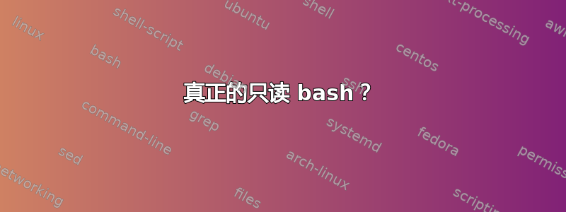 真正的只读 bash？