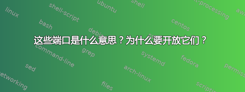 这些端口是什么意思？为什么要开放它们？