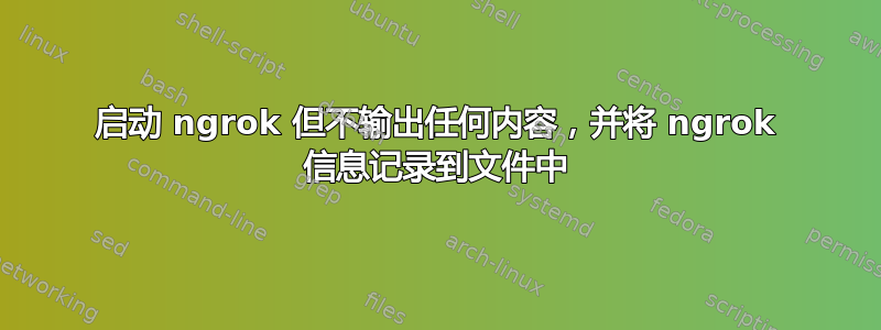 启动 ngrok 但不输出任何内容，并将 ngrok 信息记录到文件中