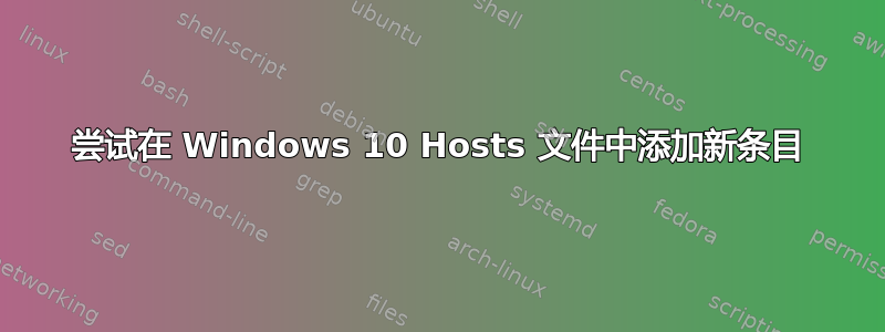 尝试在 Windows 10 Hosts 文件中添加新条目