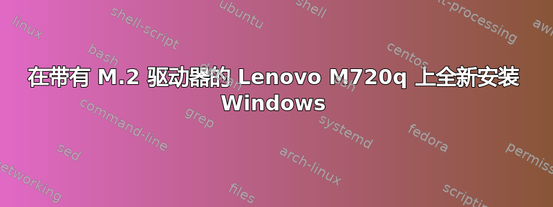 在带有 M.2 驱动器的 Lenovo M720q 上全新安装 Windows