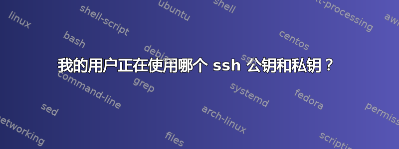 我的用户正在使用哪个 ssh 公钥和私钥？