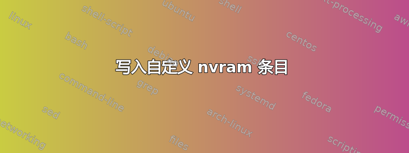 写入自定义 nvram 条目