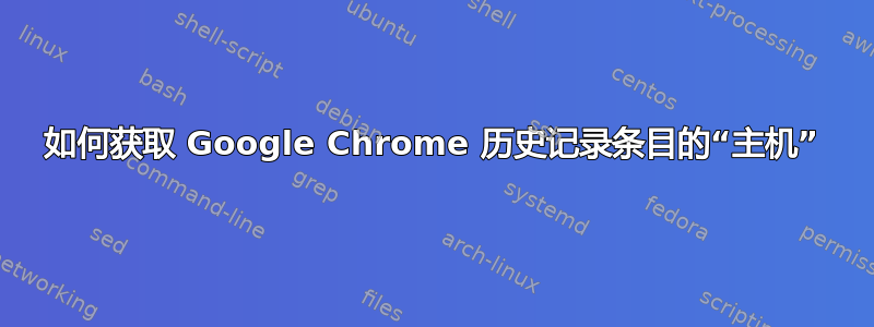 如何获取 Google Chrome 历史记录条目的“主机”