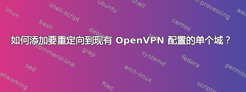 如何添加要重定向到现有 OpenVPN 配置的单个域？