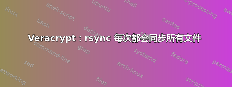 Veracrypt：rsync 每次都会同步所有文件