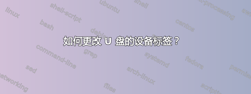 如何更改 U 盘的设备标签？ 