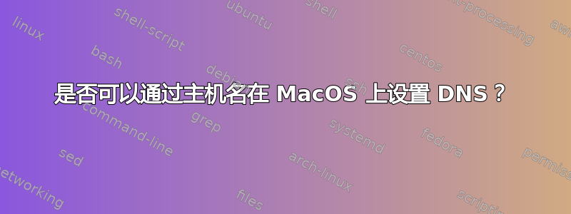 是否可以通过主机名在 MacOS 上设置 DNS？