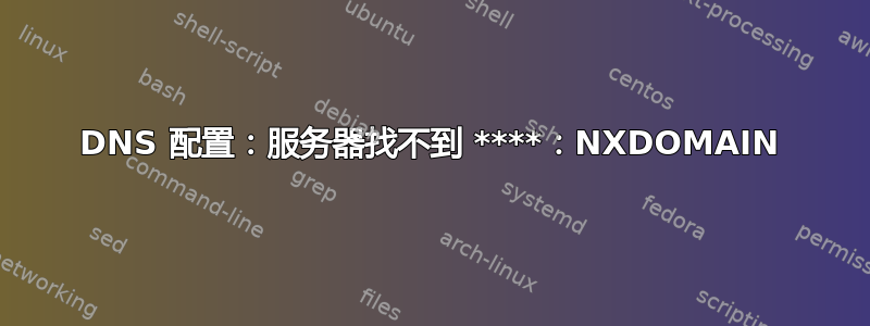 DNS 配置：服务器找不到 ****：NXDOMAIN