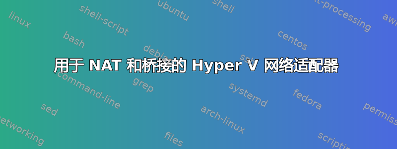 用于 NAT 和桥接的 Hyper V 网络适配器