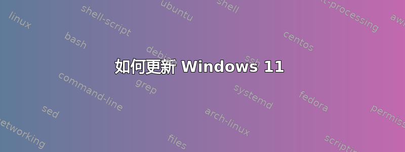 如何更新 Windows 11