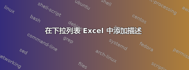 在下拉列表 Excel 中添加描述