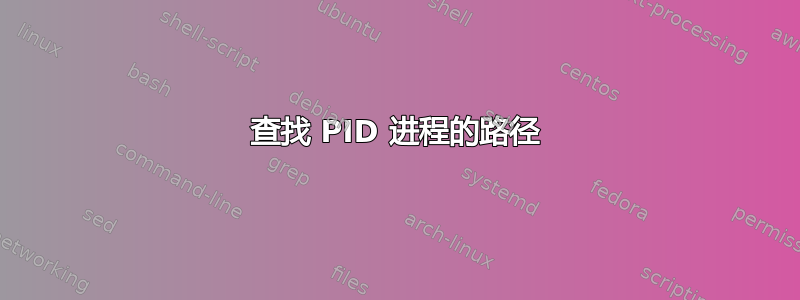 查找 PID 进程的路径