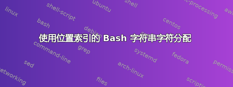 使用位置索引的 Bash 字符串字符分配