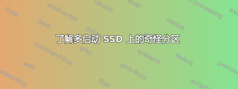 了解多启动 SSD 上的奇怪分区