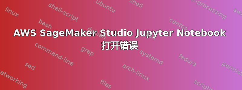 AWS SageMaker Studio Jupyter Notebook 打开错误