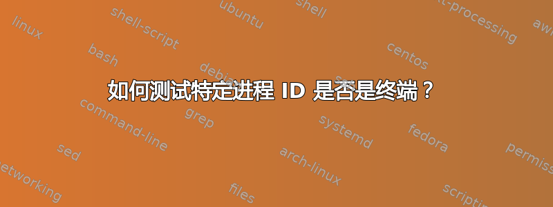 如何测试特定进程 ID 是否是终端？