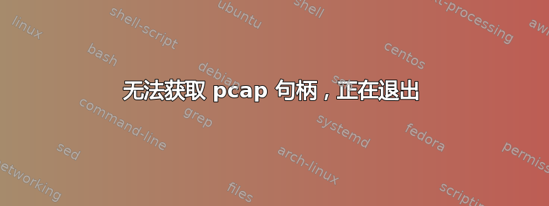 无法获取 pcap 句柄，正在退出