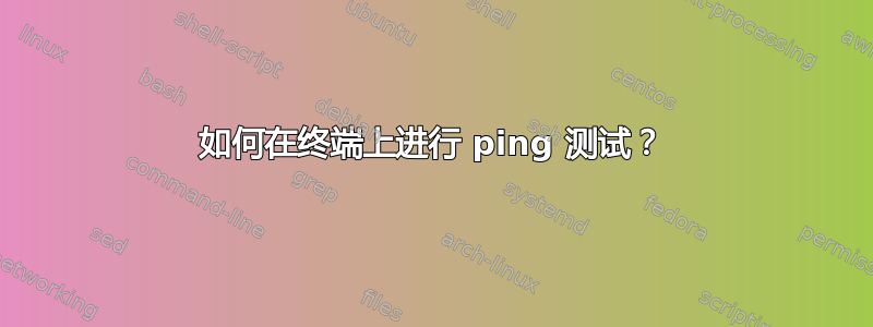 如何在终端上进行 ping 测试？