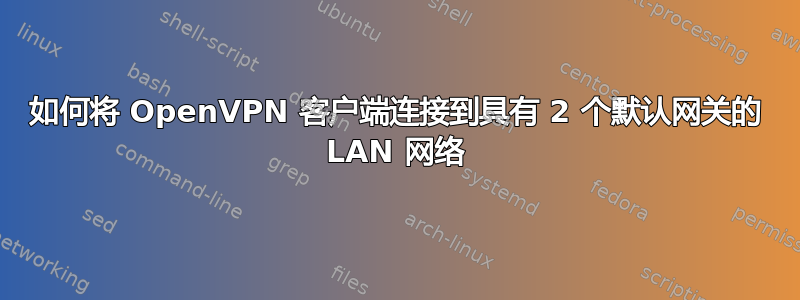 如何将 OpenVPN 客户端连接到具有 2 个默认网关的 LAN 网络