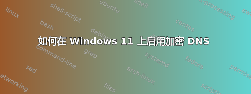 如何在 Windows 11 上启用加密 DNS