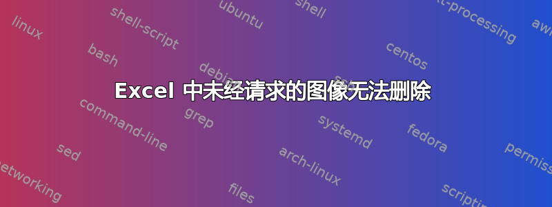 Excel 中未经请求的图像无法删除