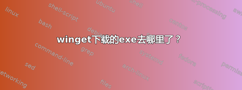 winget下载的exe去哪里了？